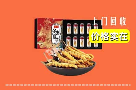 甘孜州新龙回收冬虫夏草